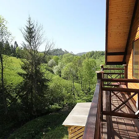 буковий гай & чан *