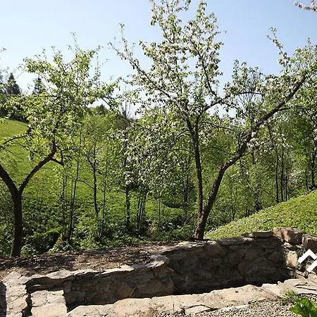 Ferienhaus буковий гай & чан