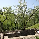 Σπίτι διακοπών буковий гай & чан